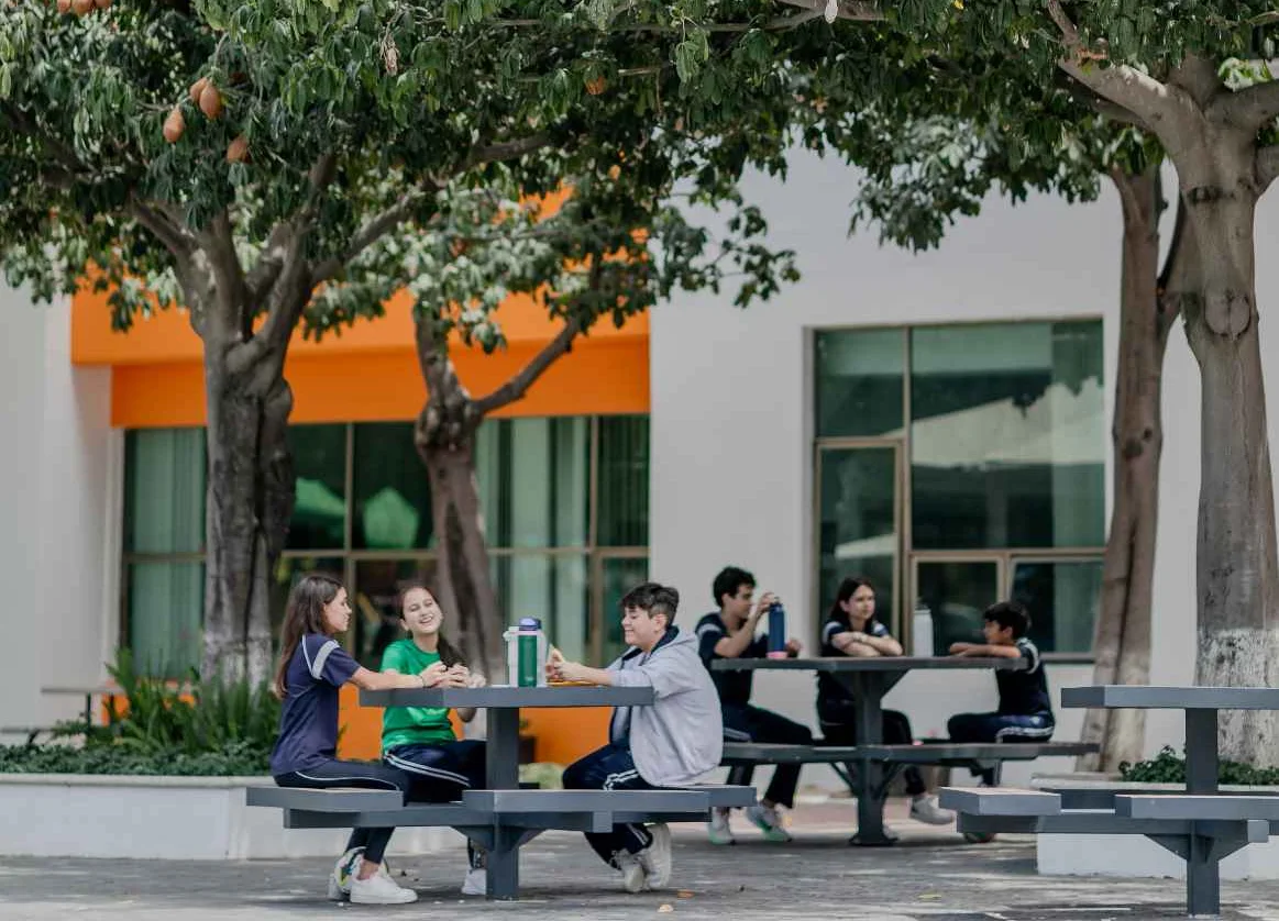  Our campus 8