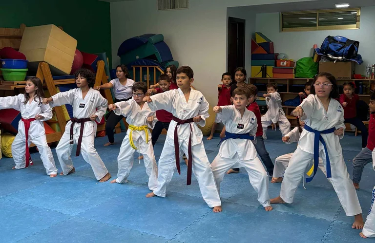 Taekwondo
