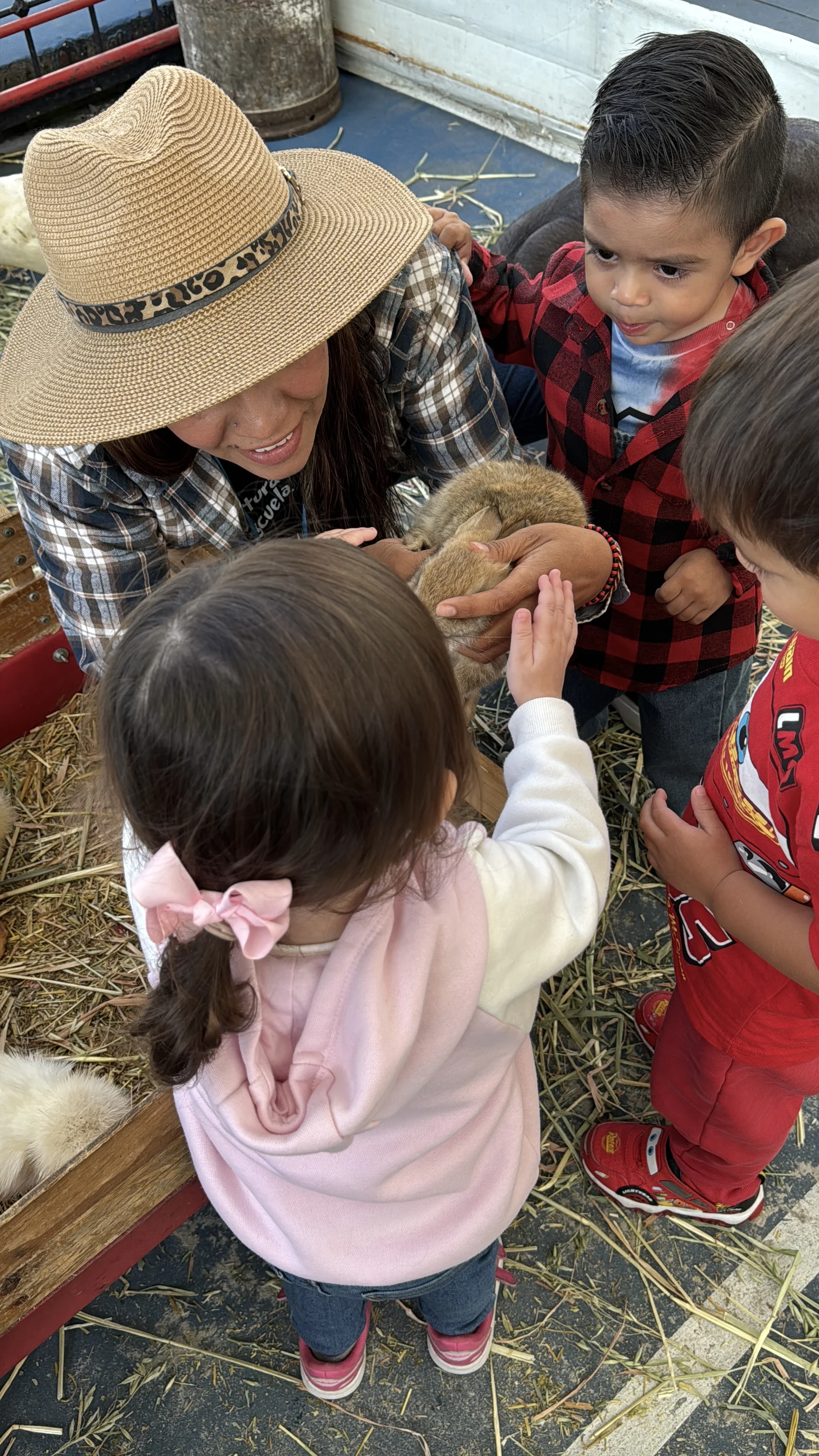 Campamentos de verano 3