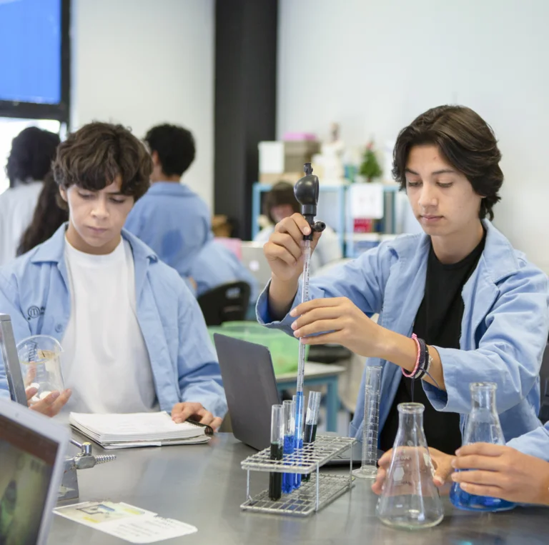 Excelencia académica