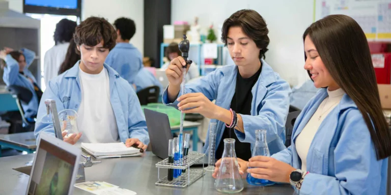 Excelencia académica