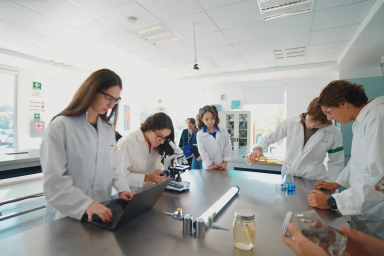 University and career guidance