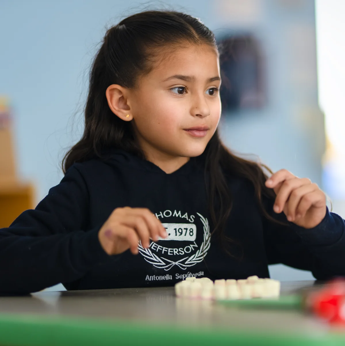 ¿Por qué elegirnos?