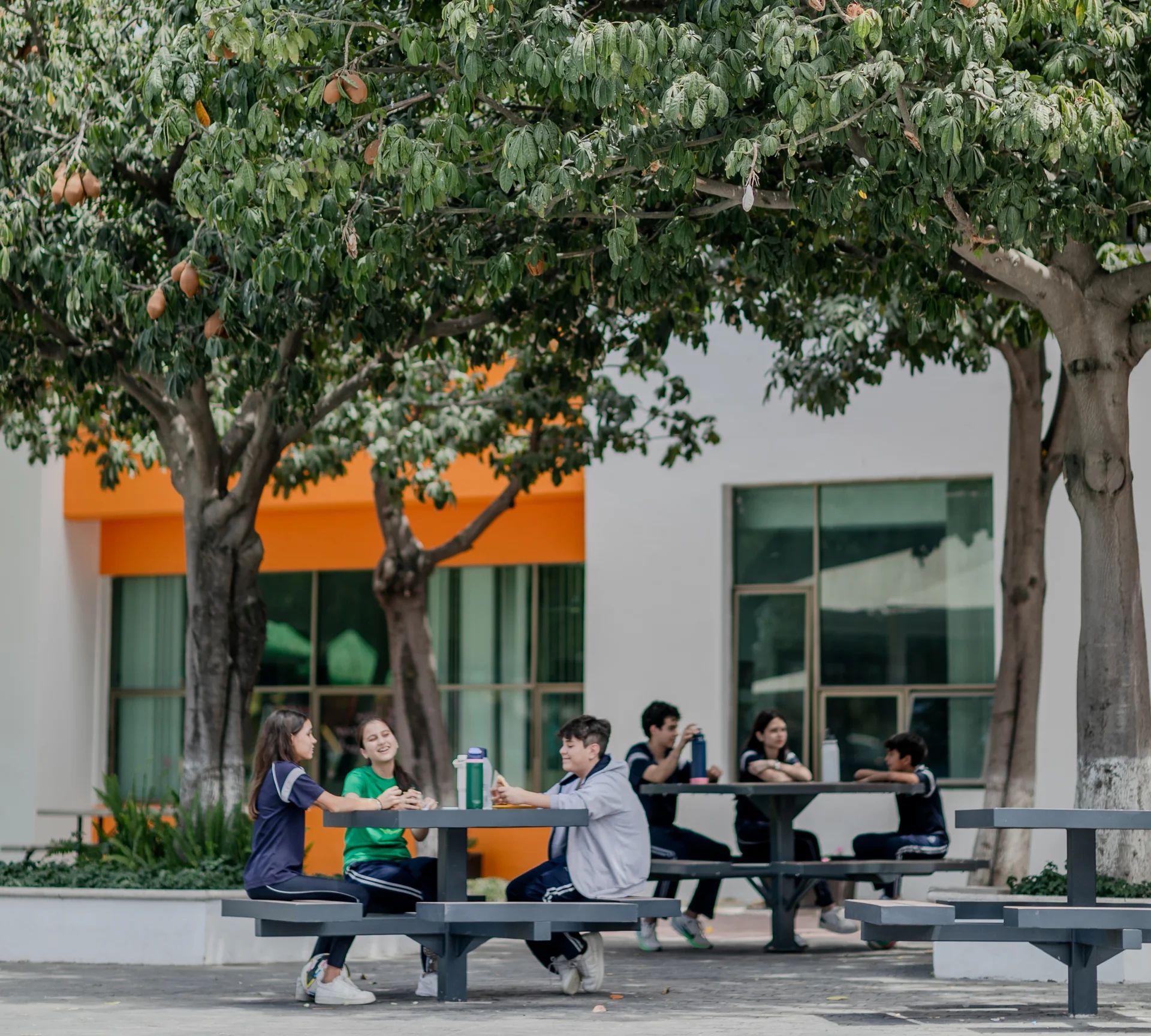 Visita nuestro campus