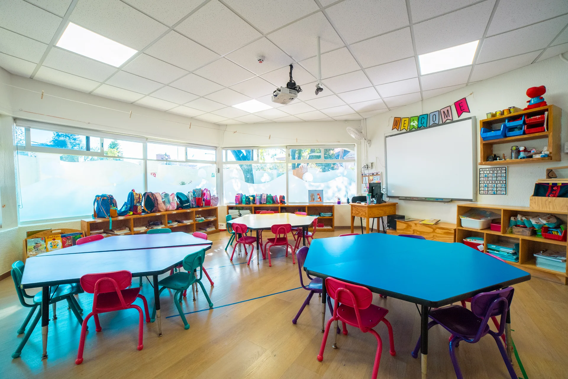 pink-blue-and-thomasito-gallery 2