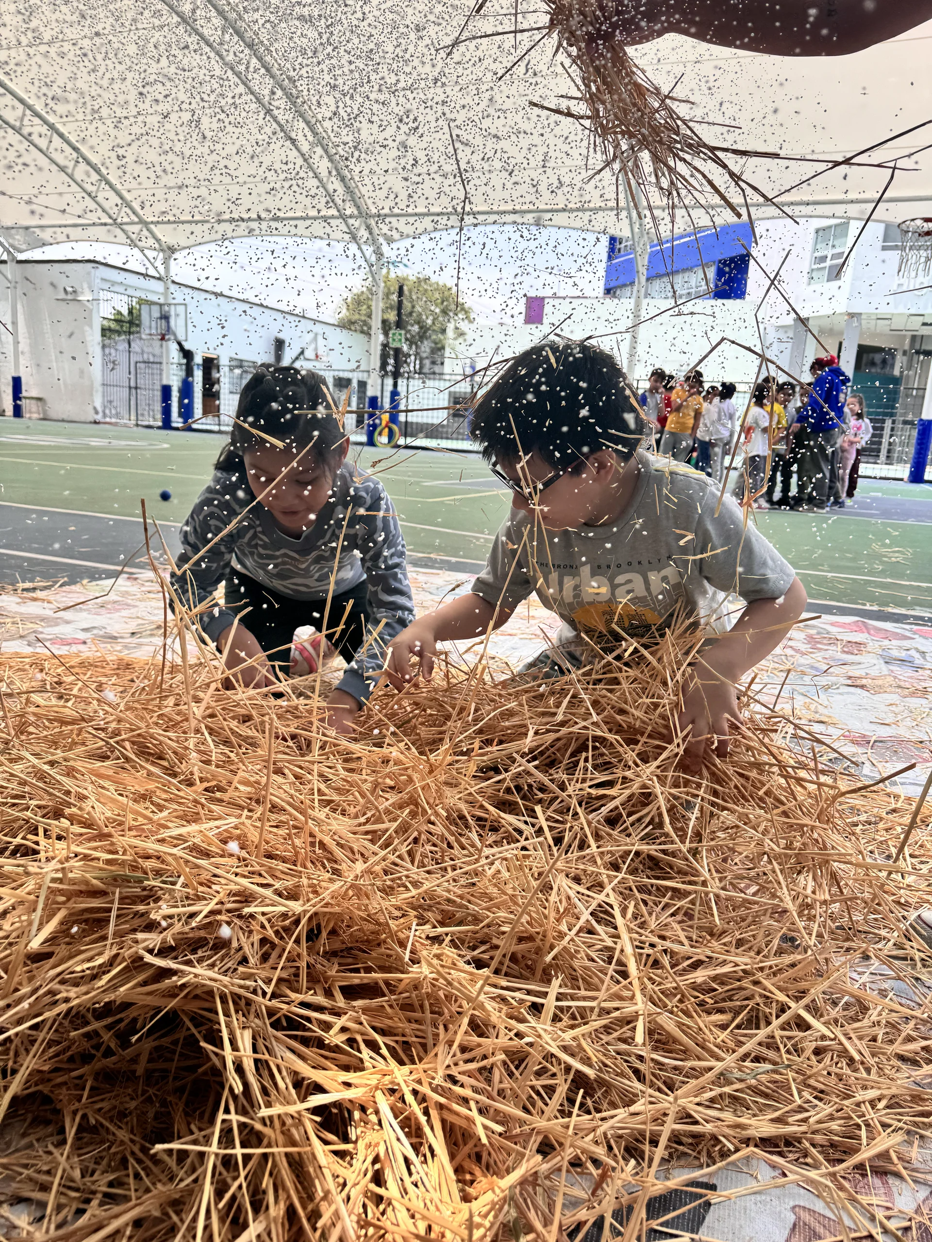 Campamentos de verano 2