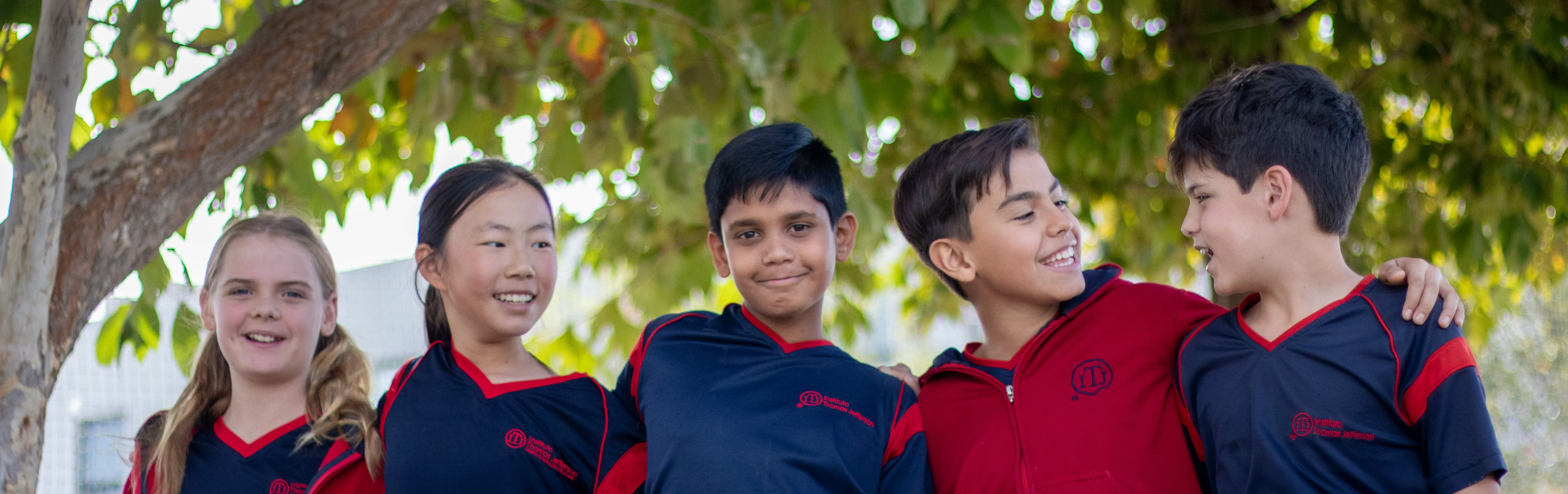 Etapas de aprendizaje