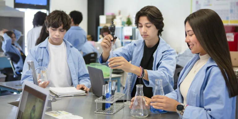 Excelencia académica