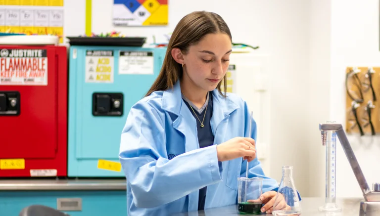 Orientación profesional