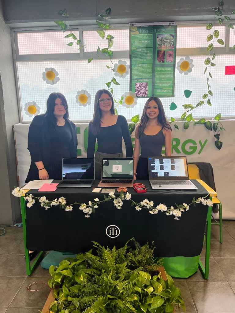 Comités de ecología